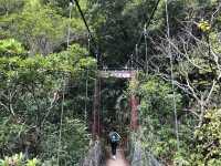 錐麓古道｜太魯閣峽谷中的驚險絕美步道，挑戰垂直斷崖的壯闊視野