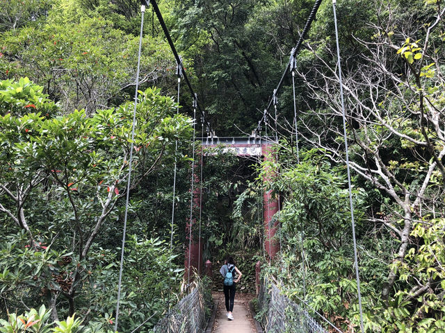 錐麓古道｜太魯閣峽谷中的驚險絕美步道，挑戰垂直斷崖的壯闊視野