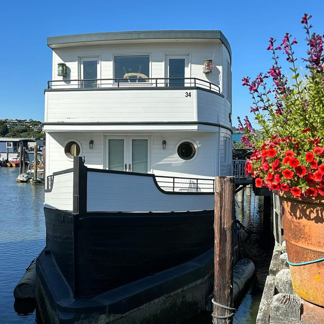 Floating Dreams: The Timeless Allure of Sausalito’s Bohemian Houseboats