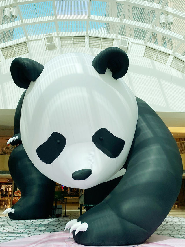 香港｜馬鞍山新港城期間限定巨型熊貓🐼