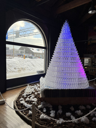 冬季小樽之旅——雪景、甜品與運河漫步