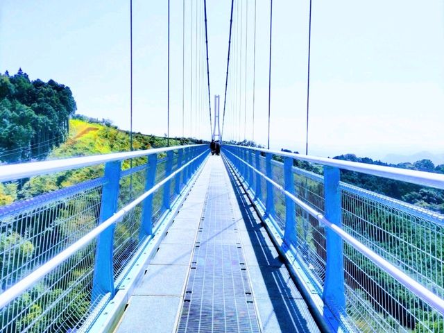絶景の橋！三島スカイウォーク