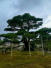 Kanazawa: Japan’s “Little Kyoto” of Art, History, and Serenity