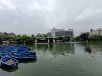 鬧中取靜的時光綠洲，台中公園漫遊。
