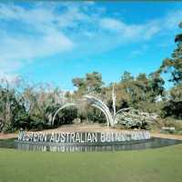 Wandering Through Wonder: A Walk in Kings Park, Perth