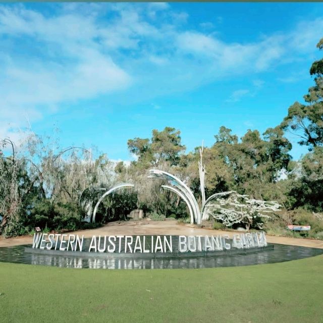 Wandering Through Wonder: A Walk in Kings Park, Perth