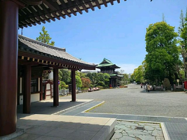 Senso-ji Temple – Tokyo’s Timeless Spiritual Landmark