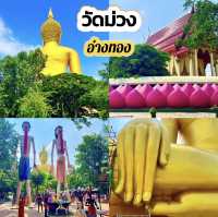 วัดม่วง