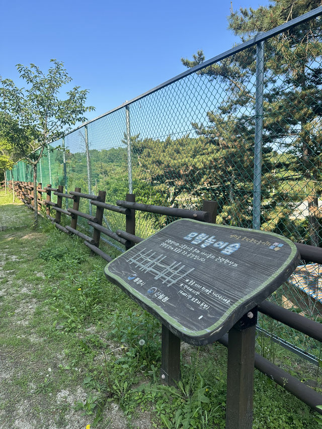 🌳 통영생태숲에서 자연과 한몸이 된 하루! 🍃