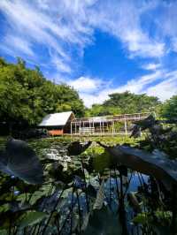 ตากฟ้าคาเฟ่ - บ้านสวนณัฐธีร์