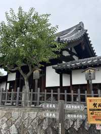 【酒蔵巡り】日本三大銘醸地・西条