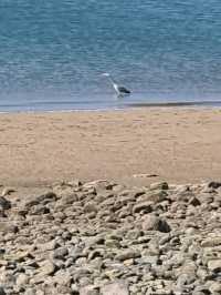 Llandudno Beach: Cape Town’s Hidden Gem