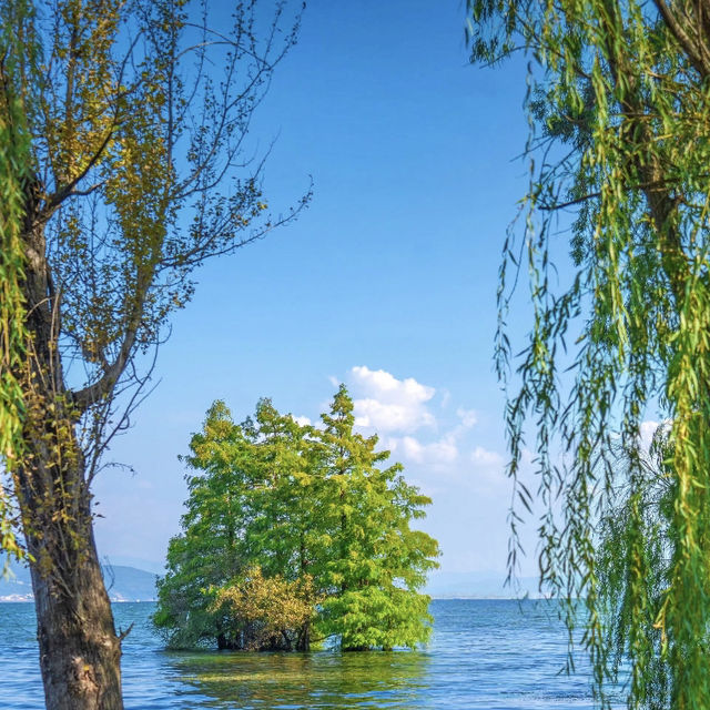 📍大理🏷️分享給端午想去的朋友們攻略
