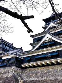  🌸 "Cherry blossoms and castles: timele