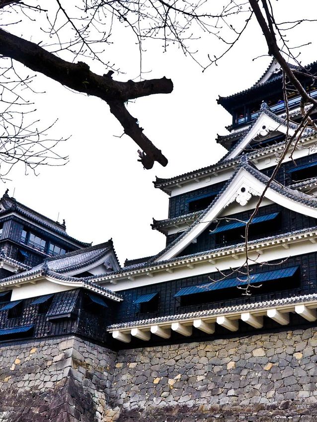  🌸 "Cherry blossoms and castles: timele