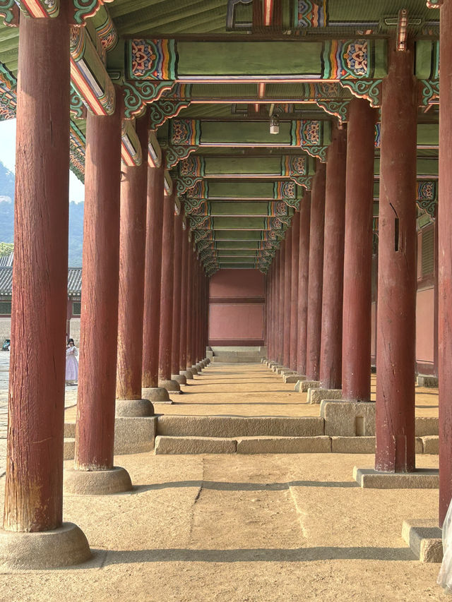 🏯 시간을 거슬러 걷는 하루, 경복궁🤍