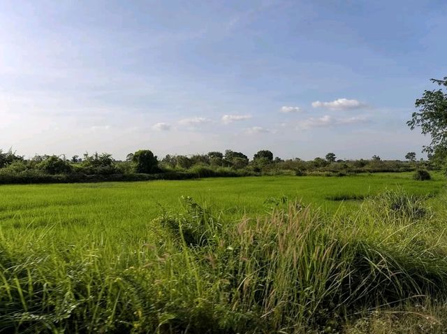 Exploring Battambang