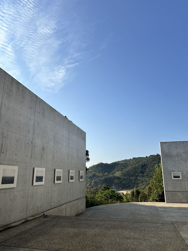 【香川→直島→豊島】アートを巡る旅！美術館＆島グルメを満喫