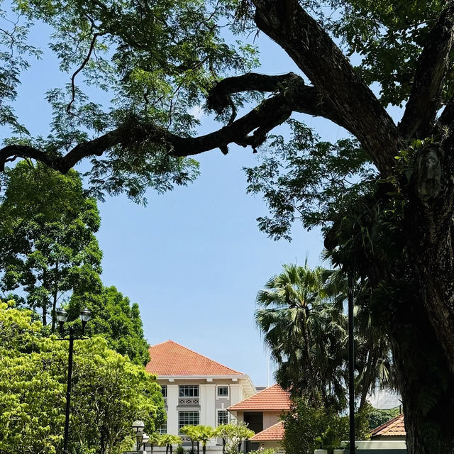 探秘新加坡福康寧公園，邂逅別樣風情🌳