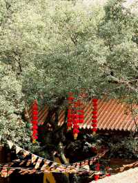Faxi Temple - 法喜寺สักการะขอพรที่วัดฝาซี