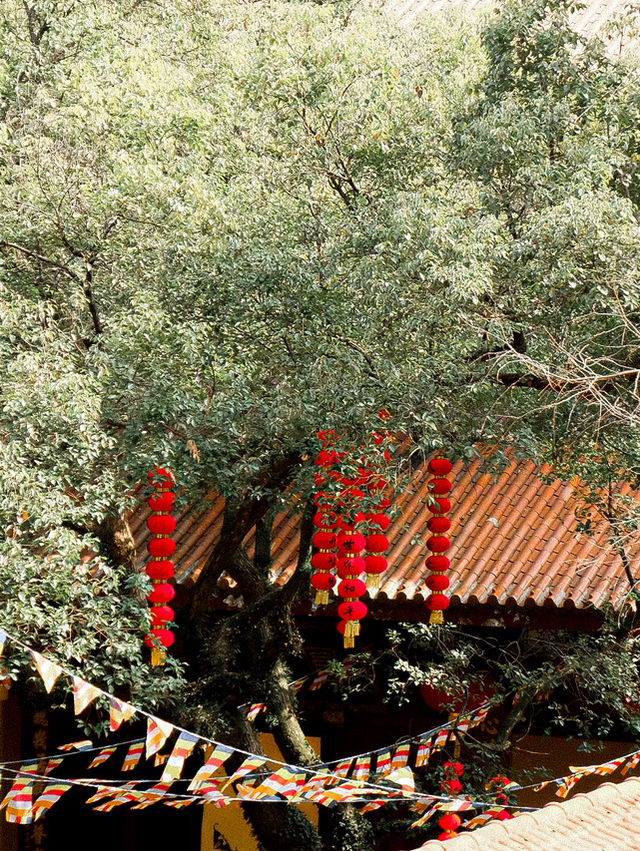 Faxi Temple - 法喜寺สักการะขอพรที่วัดฝาซี