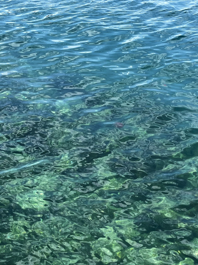 인생에서 꼭 한번 가봐야 할 바다마을🎣
