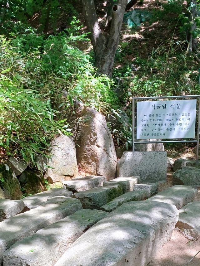 산길 따라 걷는 고요한 사색의 시간