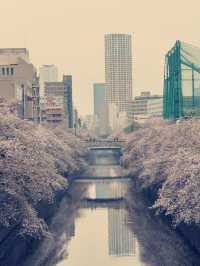 東京目黑購物攻略｜文藝與在地特色的伴手禮精選