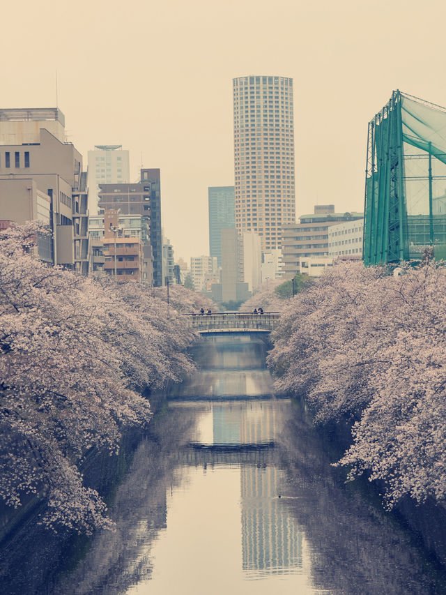 東京目黑購物攻略｜文藝與在地特色的伴手禮精選