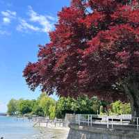 Lake Constance (Bodensee)