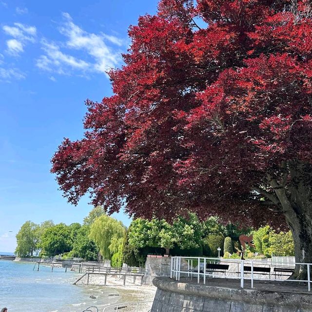 Lake Constance (Bodensee)
