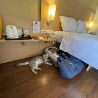 เที่ยวหัวหินพักโรงแรม Pet friendly 