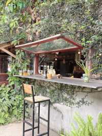 “พูม่าย คาเฟ่” คาเฟ่ที่วิวสวยที่สุดในวังเวียง
