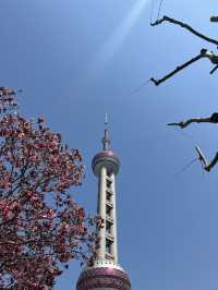 For a picture-perfect view of the Oriental Pearl Tower