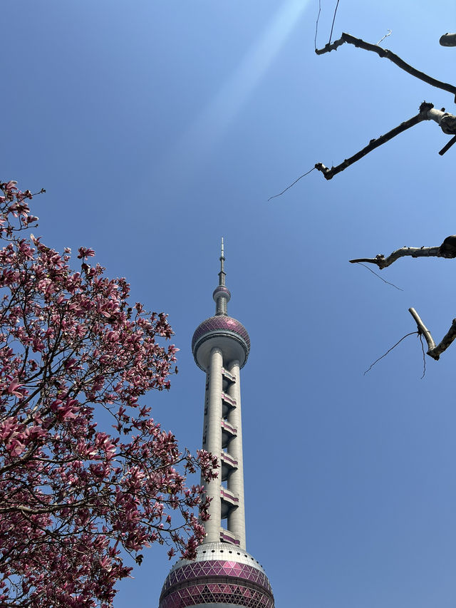 For a picture-perfect view of the Oriental Pearl Tower