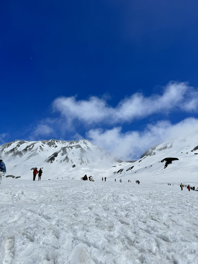 Conquering Japan’s Snow Corridor: Tateyama Kurobe Alpine Route
