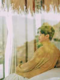 พักผ่อนชิลๆกลางหุบเขาแม่แตง รับสายหมอกแบบฉ่ำๆ