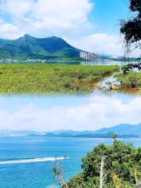 少眾景美雞麻峒