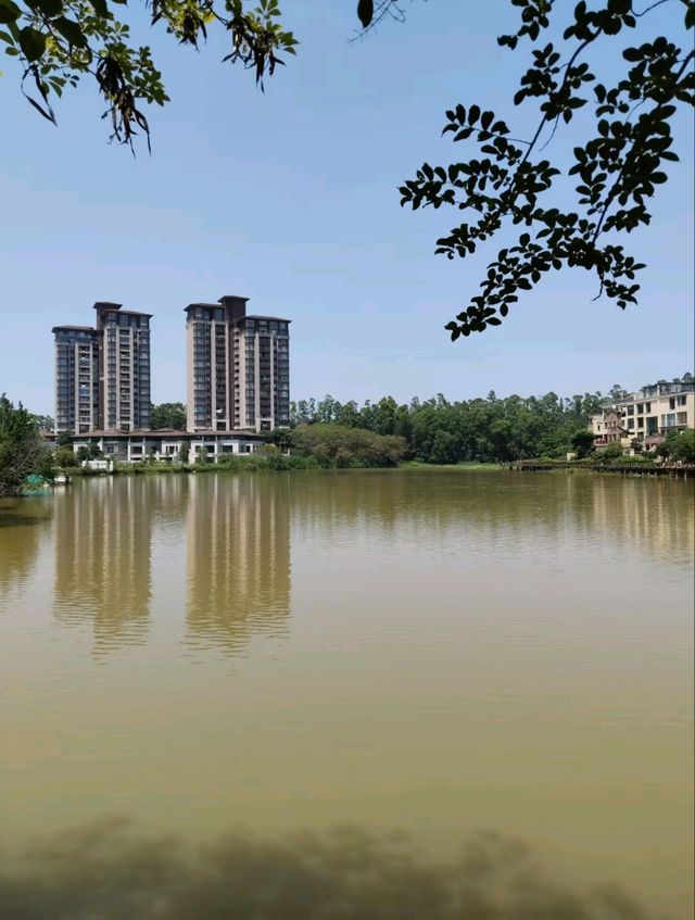 🏞️ 松山湖生態園區