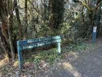 Best of all lookout - The Springbrook National Park