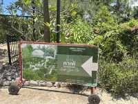 หลงคาเฟ่