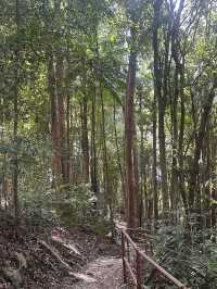 A Refreshing & Budget-Friendly Adventure – Tanjung Tuan Recreational Forest, Port Dickson