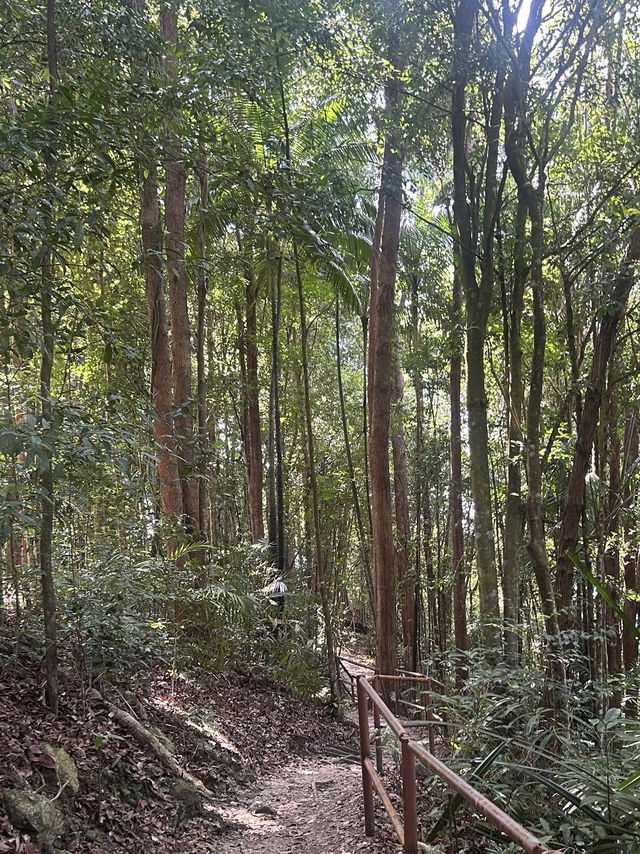 A Refreshing & Budget-Friendly Adventure – Tanjung Tuan Recreational Forest, Port Dickson
