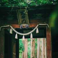 長野🇯🇵戶隱神社