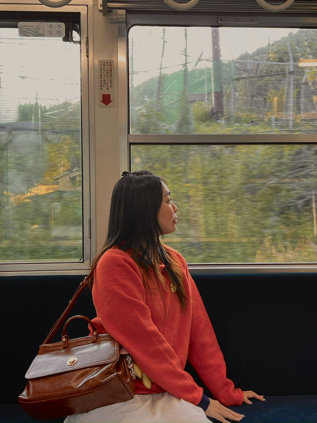 Kyoto Osaka Tokyo in a flash