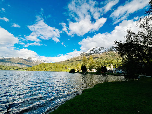 Summer Stroll Around Lake St. Moritz – Alpine Calm at Its Finest