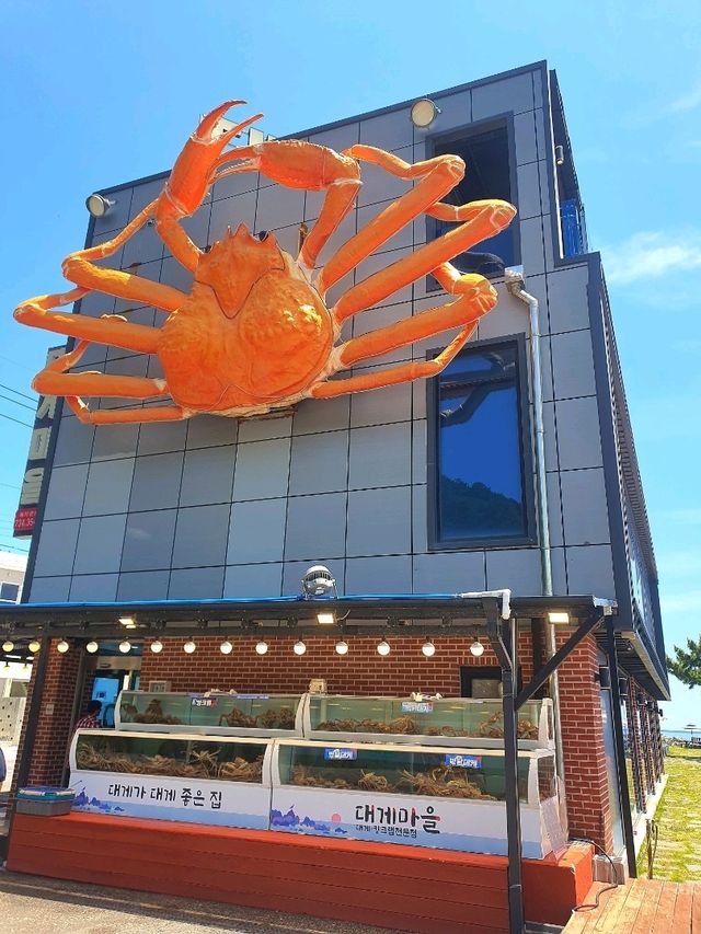 강원도 여행에서 대게 먹으려면 여기🦀