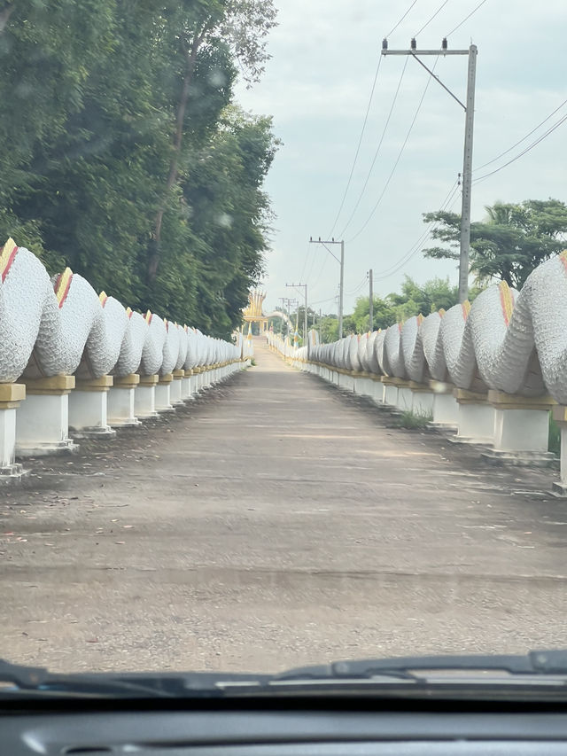 วัดป่าสว่างธรรม (วัดศิริพร) อุดรธานี ✨🙏🏻