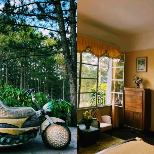 Dalat One-Day Travel Itinerary – Nature, Charm, and Unique Architecture All in One.