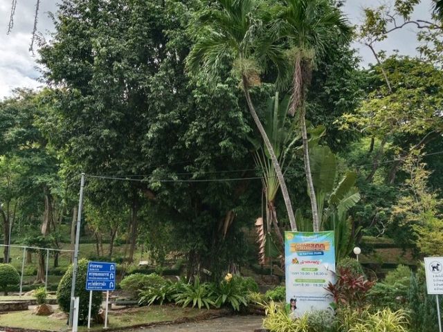 เดินเล่น🌴🌴 ที่สวนสาธารณะเทศบาลนครหาดใหญ่ 🌲🌲กัน